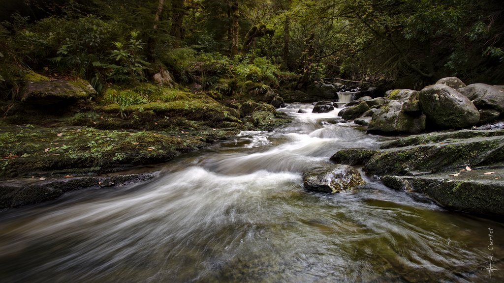 Jour 4 : de Cork à Killarney